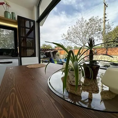 Miro House